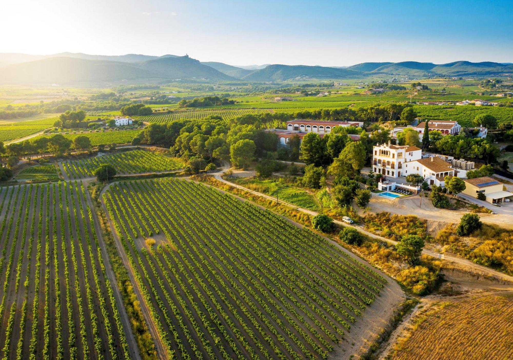 Bolet Casa Modernista Bed & Breakfast Castellvi de la Marca Eksteriør bilde