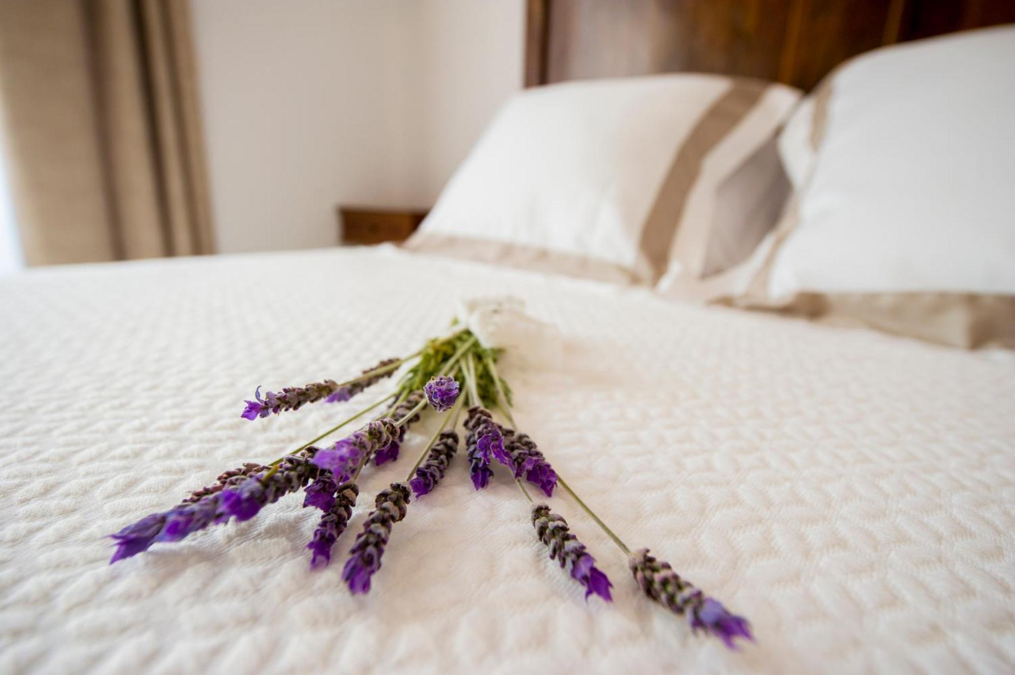 Bolet Casa Modernista Bed & Breakfast Castellvi de la Marca Eksteriør bilde